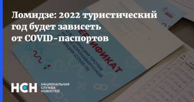 Майя Ломидзе - Ломидзе: 2022 туристический год будет зависеть от COVID-паспортов - nsn.fm - Россия