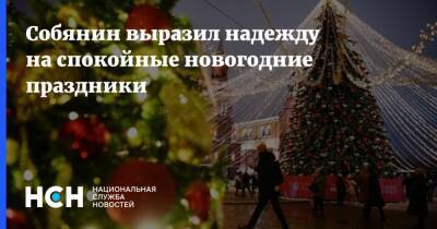 Сергей Собянин - Собянин выразил надежду на спокойные новогодние праздники - nsn.fm - Москва
