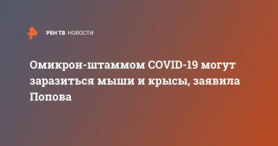 Анна Попова - Омикрон-штаммом COVID-19 могут заразиться мыши и крысы, заявила Попова - ren.tv - Россия