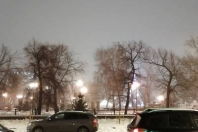 В Оренбурге отменили торжественное открытие главной елки города - oren.mk.ru - Оренбург
