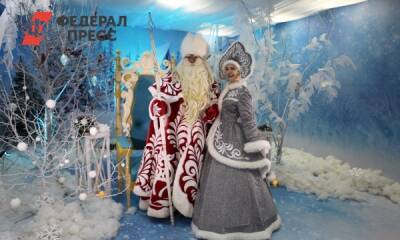 В Иркутске Дед Мороз обзавелся «Вайбером» и ушел в онлайн-приемную - fedpress.ru - Иркутск