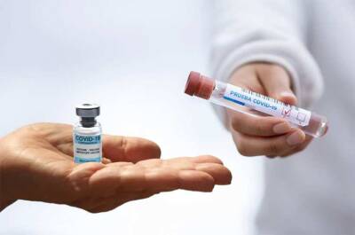 В Крыму учёные создали вакцину, которая будет защищать от вирусов гриппа на несколько лет - actualnews.org - Россия - республика Крым