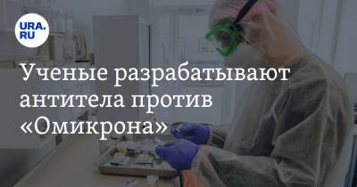 Ученые разрабатывают антитела против «Омикрона» - ura.news - Россия