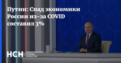 Владимир Путин - Путин: Спад экономики России из-за COVID составил 3% - nsn.fm - Россия