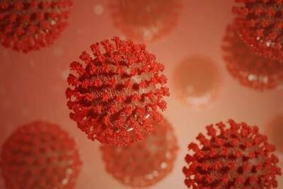 Учёные из Эдинбургского университета представили данные о «смягчении» коронавируса - versia.ru