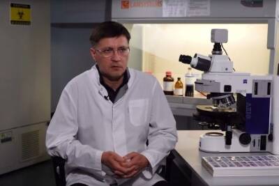 Патологоанатом показал, как коронавирус убивает у человека мозг и лёгкие - chita.ru - Россия