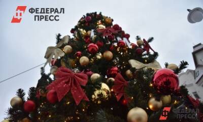 Куда сходить в Новосибирске во время новогодних каникул - fedpress.ru - Новосибирск
