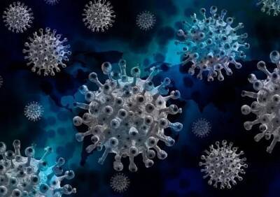 Ученые обнаружили «подпольный» путь передачи коронавируса - ya62.ru - Сша - штат Огайо