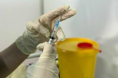 Две партии вакцины «Спутник М» выпущены в гражданский оборот - pnp.ru