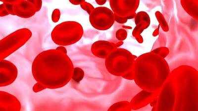 Приводят к слипанию тромбоцитов: Гематолог назвал сгущающие кровь продукты - 5-tv.ru - Москва