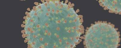 Коронавирус научился уклоняться от антител благодаря распространению между клетками - runews24.ru