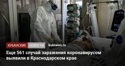 Еще 561 случай заражения коронавирусом выявили в Краснодарском крае - kubnews.ru - Краснодарский край - Краснодар - Новороссийск - Анапа - Минздрав