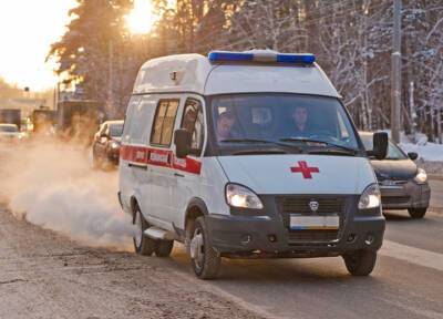 Первые случаи заражения омикроном внутри страны зафиксировали в России - province.ru - Россия