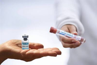 Более 800 тысяч тестов на коронавирус провели медики в Смоленской области - mk-smolensk.ru - Смоленская обл.