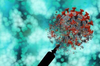 Учёные выяснили: коронавирус может сохраняться в организме человека свыше семи месяцев - argumenti.ru - Сша