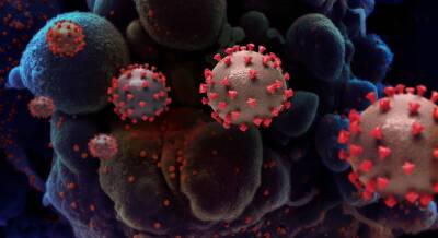 Ученые: коронавирус может сохраняться в организме человека более семи месяцев - bloknot.ru - Сша
