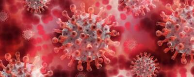 Nature: вирус ковида может находиться в человеческом теле до семи с половиной месяцев - runews24.ru - Сша