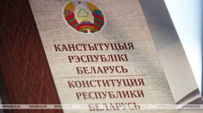 Депутат: проект Конституции отвечает новым запросам политических реалий - belta.by - Белоруссия - Минск