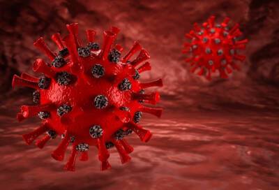 Глава Discovery Health Роуч назвал самый ранний симптом омикрон-штамма коронавируса - online47.ru - Юар