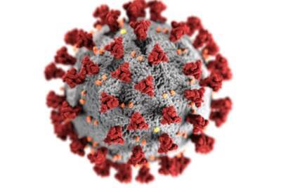 Эксперты назвали самый ранний симптом «омикрон»-штамма коронавируса - mk.ru - Англия
