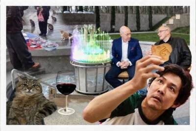 Владимир Путин - Вспомнить всё и снова посмеяться: аквадискотека, кот с бокалом и ещё 7 мемoв 2021 года - chita.ru - Геленджик