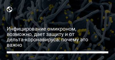 Инфицирование омикроном, возможно, дает защиту и от дельта-коронавируса: почему это важно - liga.net - Украина - Юар