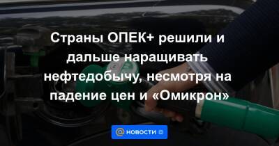 Страны ОПЕК+ решили и дальше наращивать нефтедобычу, несмотря на падение цен и «Омикрон» - news.mail.ru - Россия