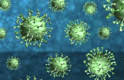 Омикрон-штамм втрое повышает риск повторного заражения коронавирусом, подтвердили ученые из ЮАР - ont.by - Белоруссия - Юар