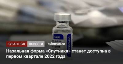 Назальная форма «Спутника» станет доступна в первом квартале 2022 года - kubnews.ru