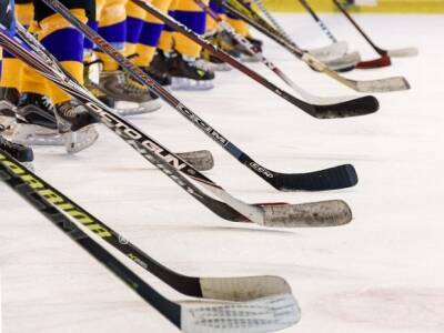ТАСС: Проведение молодежного чемпионата мира по хоккею отменено из-за ковида - rosbalt.ru - Россия - Финляндия - Сша - Швейцария - Словакия - Чехия