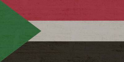 В Судане обнаружен неизвестный смертоносный вирус и мира - cursorinfo.co.il - Судан - Южный Судан