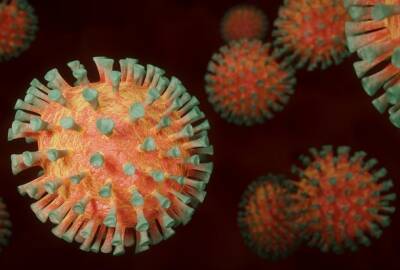 Учёные назвали главный симптом омикрон-штамма коронавируса - nashe.orbita.co.il
