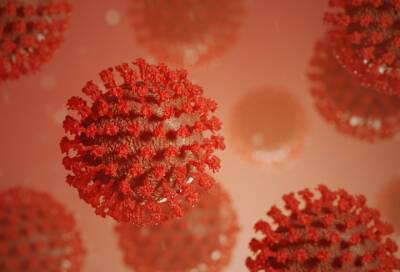 Telegraph: "омикрон" имеет меньший уровень смертности по сравнению с другими штаммами коронавируса - online47.ru - Юар