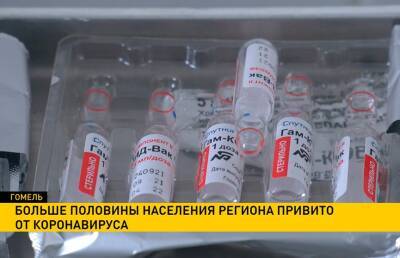 Больше половины населения Гомельской области получилов вакцину от коронавируса - ont.by - Белоруссия