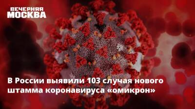 Анна Попова - В России выявили 103 случая нового штамма коронавируса «омикрон» - vm.ru - Россия