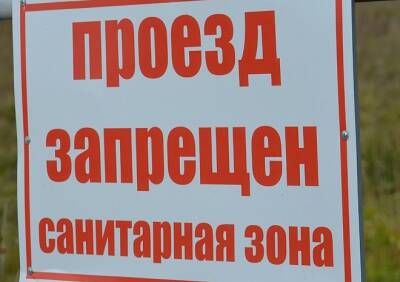 Оперштаб поручил губернаторам принять дополнительные меры по борьбе с ковидом - ya62.ru - Россия