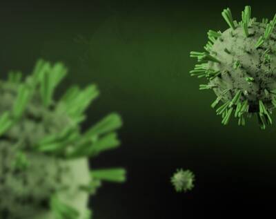 Ученые: «Омикрон»-штамм стал предвестником окончания пандемии коронавируса - actualnews.org