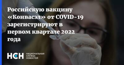 Вероника Скворцова - Российскую вакцину «Конвасэл» от COVID-19 зарегистрируют в первом квартале 2022 года - nsn.fm - Россия