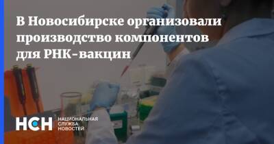 В Новосибирске организовали производство компонентов для РНК-вакцин - nsn.fm - Новосибирск