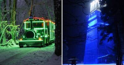По природному парку Тервете ездит сказочный сияющий поезд - rus.delfi.lv - Латвия
