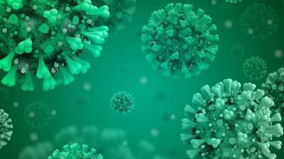 Вирусолог Альтштейн заявил, что омикрон-штамм приведет к победе над пандемией COVID-19 - inforeactor.ru