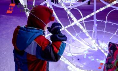 Россиянам объяснили, как встречать Новый год в условиях пандемии - fedpress.ru - Москва