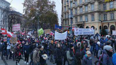 В Вене на протесты против обязательной вакцинации от ковида вышли десятки тысяч человек - belta.by - Белоруссия - Вена - Минск