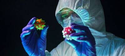 Назван срок окончания пандемии коронавируса - stolicaonego.ru