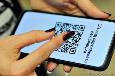 В Кургане ограничили вход без QR-кода в ряд магазинов площадью более 1 тыс. кв. м - kikonline.ru