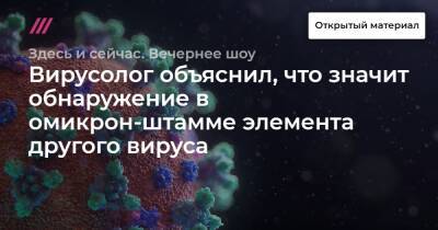 Вирусолог объяснил, что значит обнаружение в омикрон-штамме элемента другого вируса - tvrain.ru