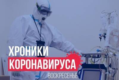 Хроники коронавируса в Тверской области: главное к 5 декабря - tver.mk.ru - Тверская обл.