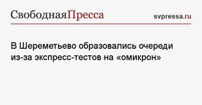 В Шереметьево образовались очереди из-за экспресс-тестов на «омикрон» - svpressa.ru - Москва