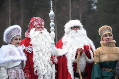 Традиционная встреча Деда Мороза и Йоулупукки отложена из-за пандемии - aif.ru - Санкт-Петербург - Финляндия