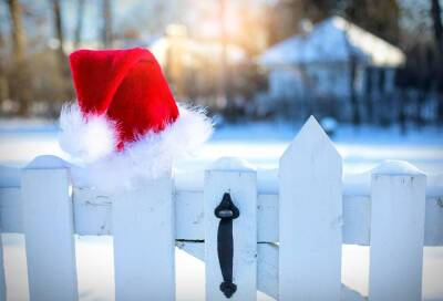 Дед Мороз и Йоулупукки не встретятся в 2021 году из-за пандемии - online47.ru - Санкт-Петербург - Финляндия